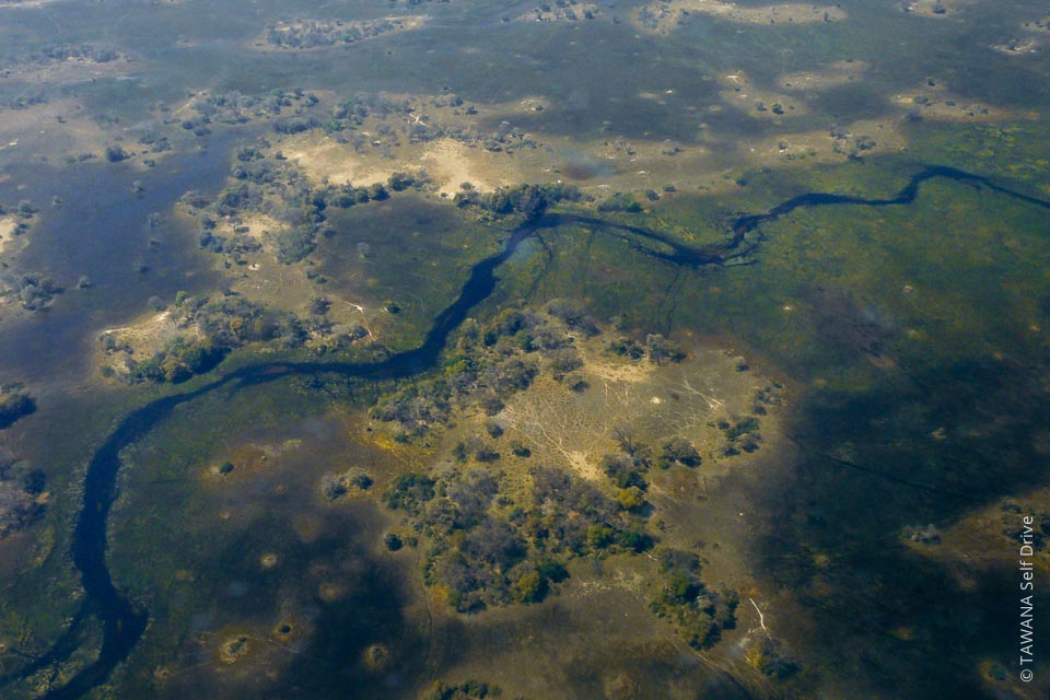 Le Delta de l'Okavango est le second plus grand delta intérieur au monde