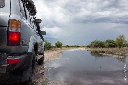 Saison des pluies dans la région de Chobe