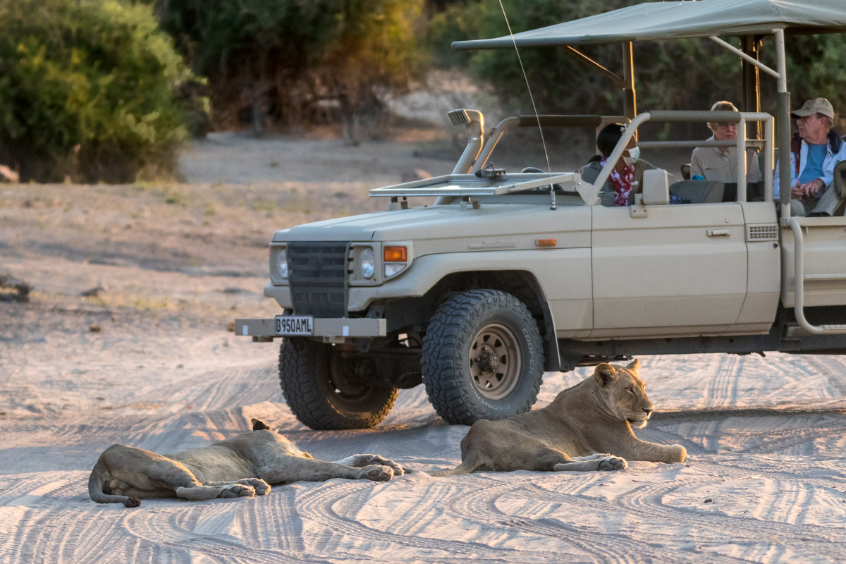 Safari en lodge au Botswana, Chobe National Park
