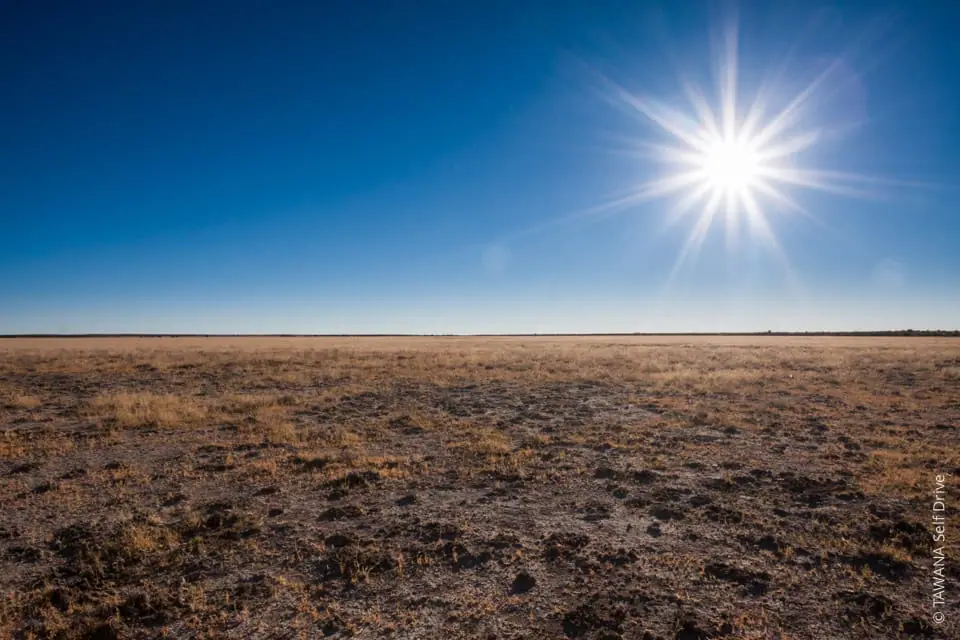 Deception Pan, Réserve du Central Kalahari, Botswana