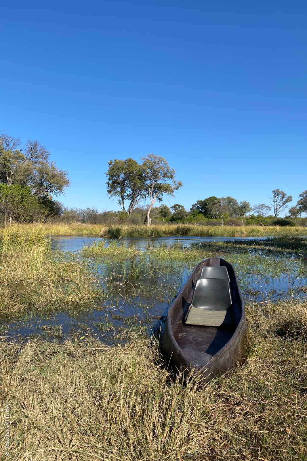 Safari à pied (walking safari) et en mokoro dans le Delta de l'Okavango